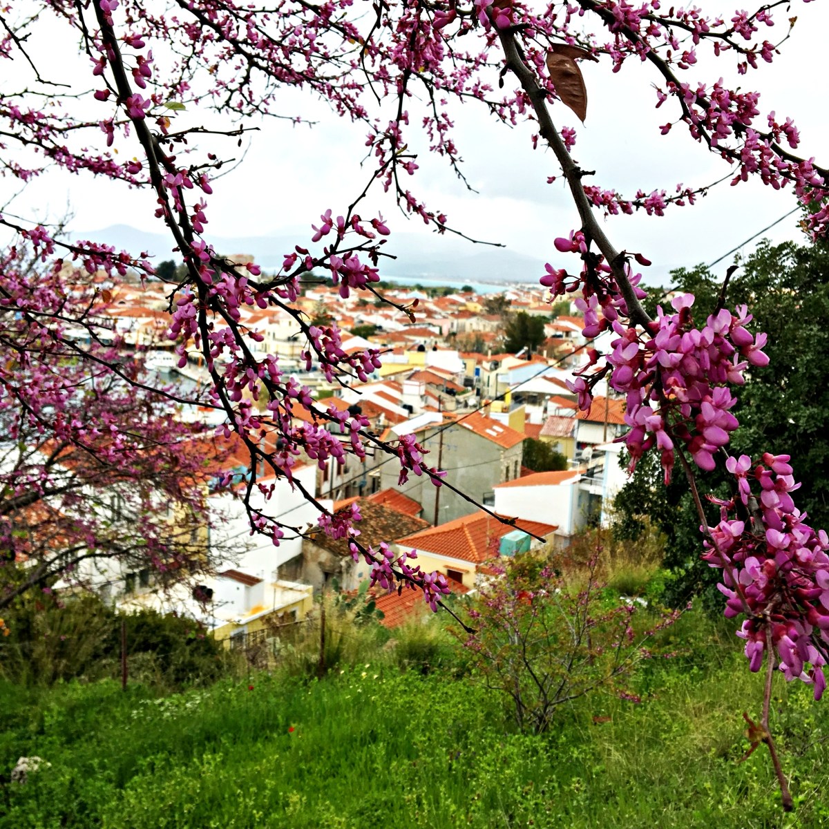 Being with Nick&nbsp;Mulvey