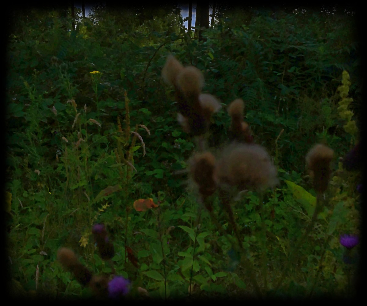 The Road To Giving&nbsp;Up