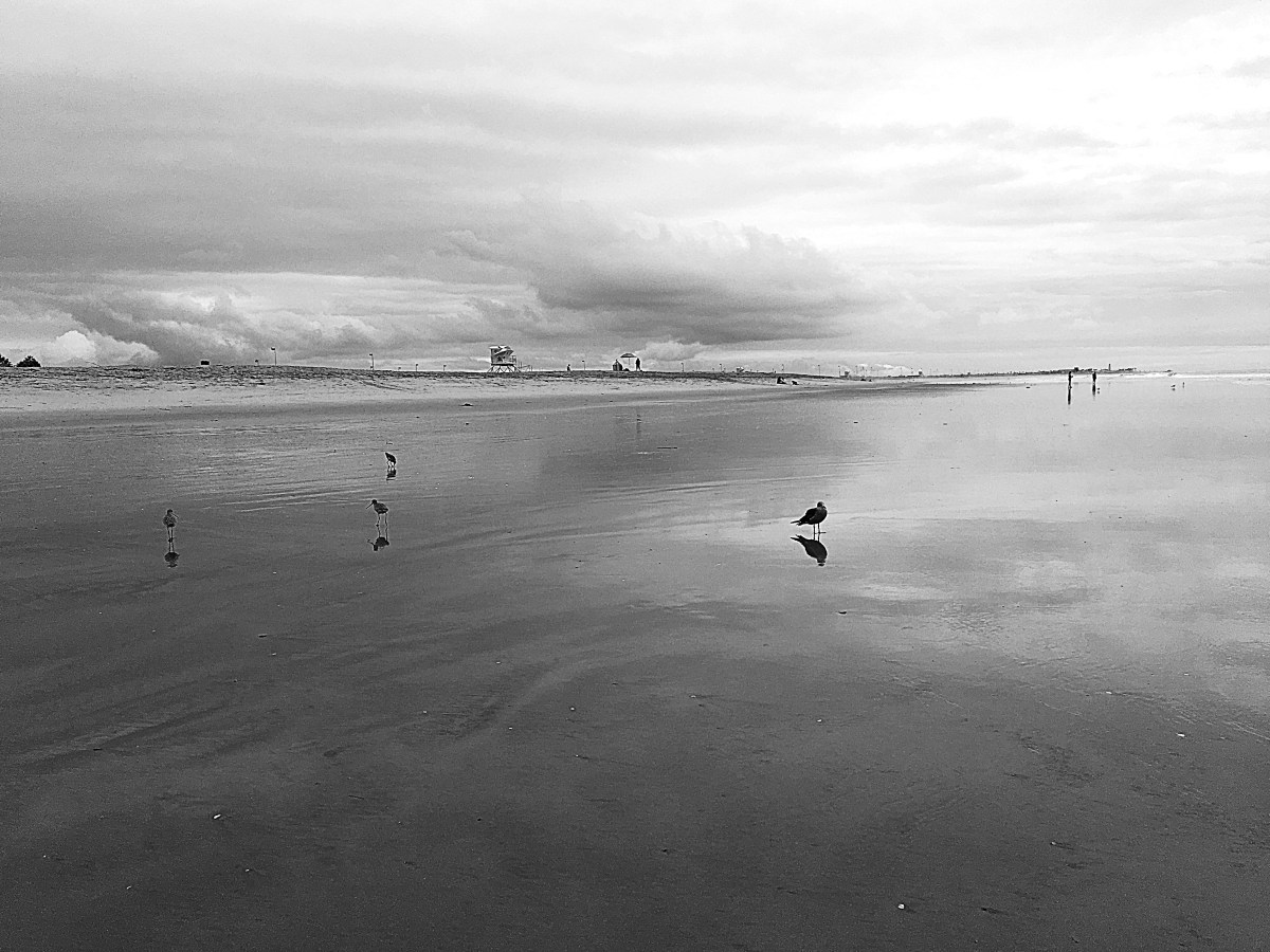 To Thine Own Self, Be&nbsp;True