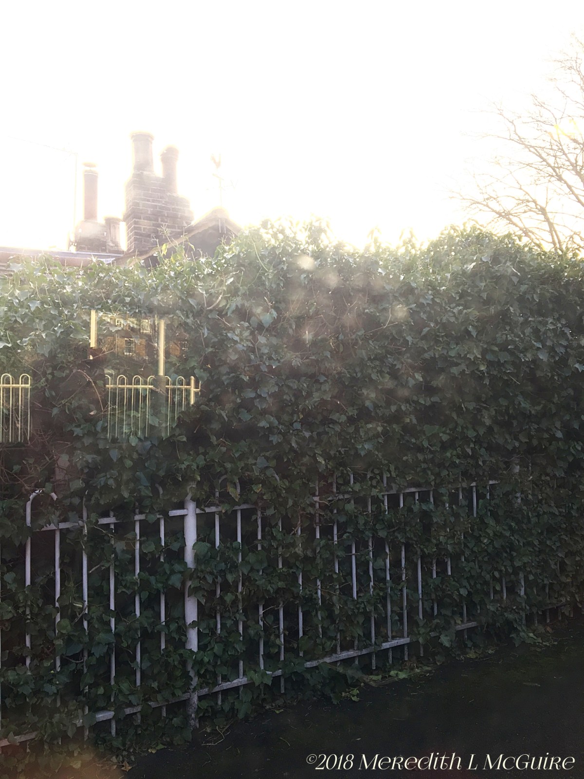 Mine Is the Life and the&nbsp;Love